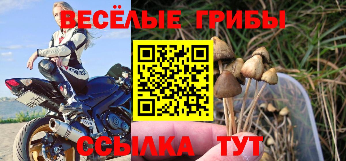 Карпинск  Псилоцибиновые грибы MAGIC MUSHROOMS  Вход с VPN  Псилоцибиновые грибы мухоморы 